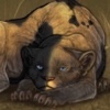 Patches (uneven) for Conjoined